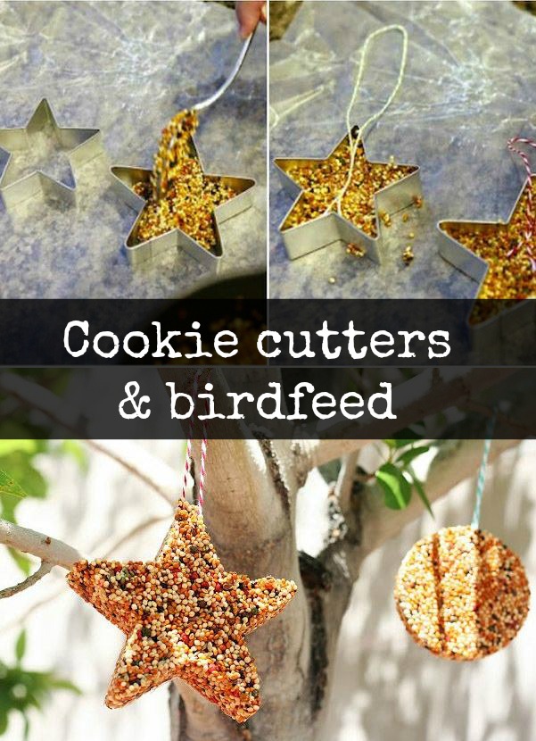 DIY half term project - cookie cutter bird feeder